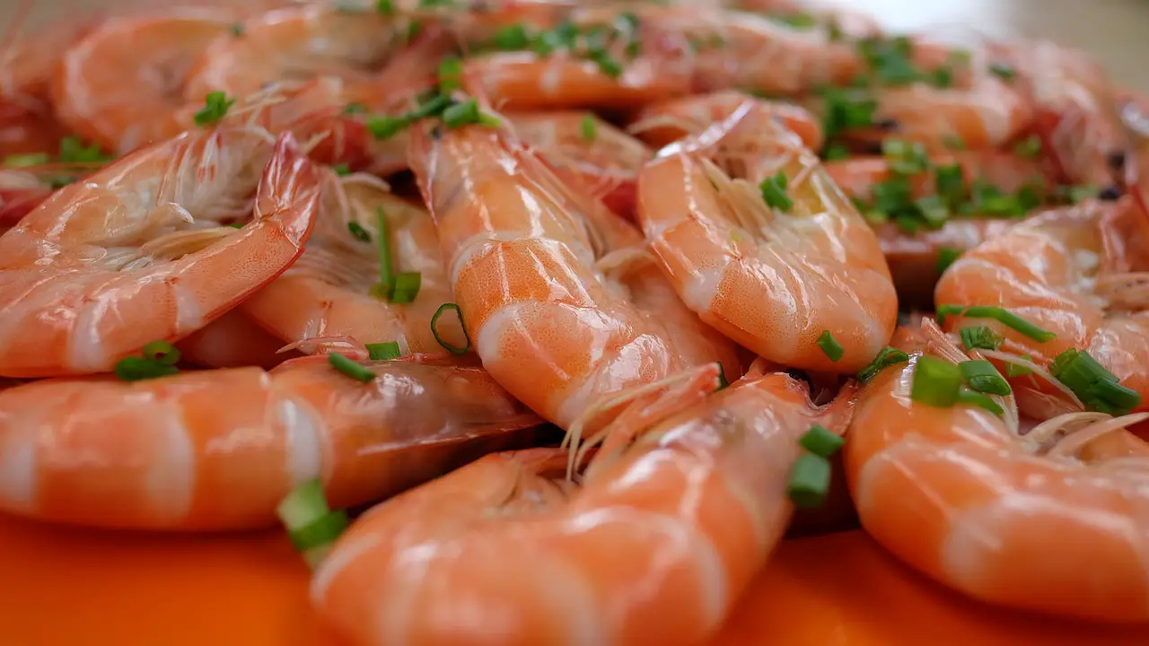 Cooked Shrimp