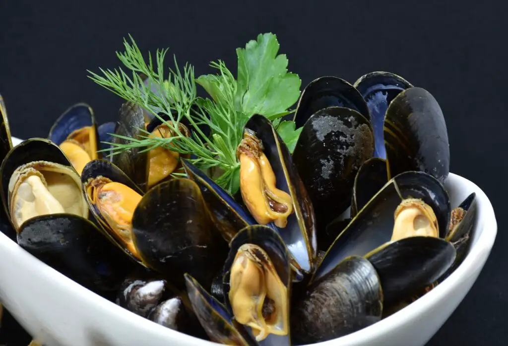 Mussel