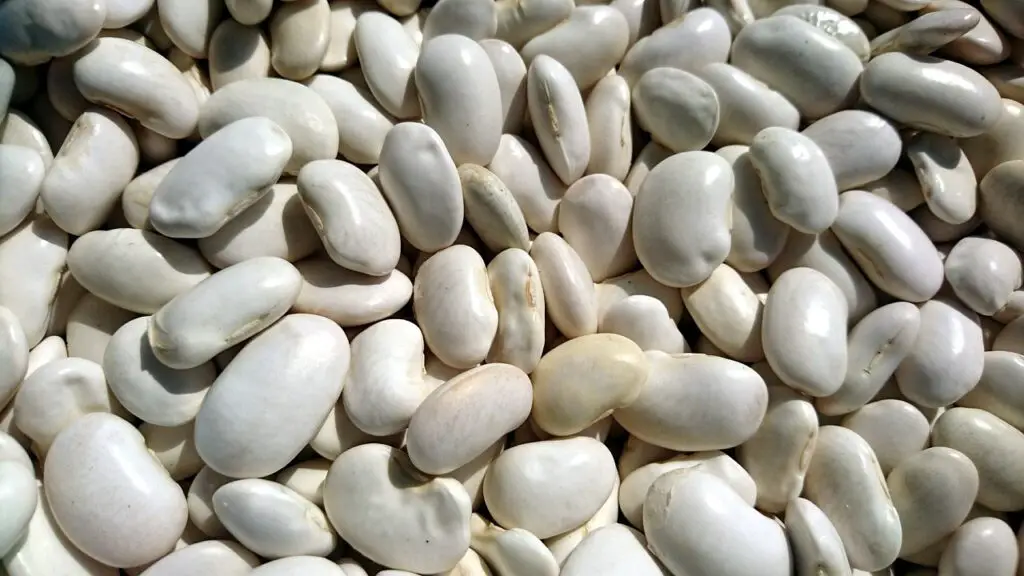 White Beans