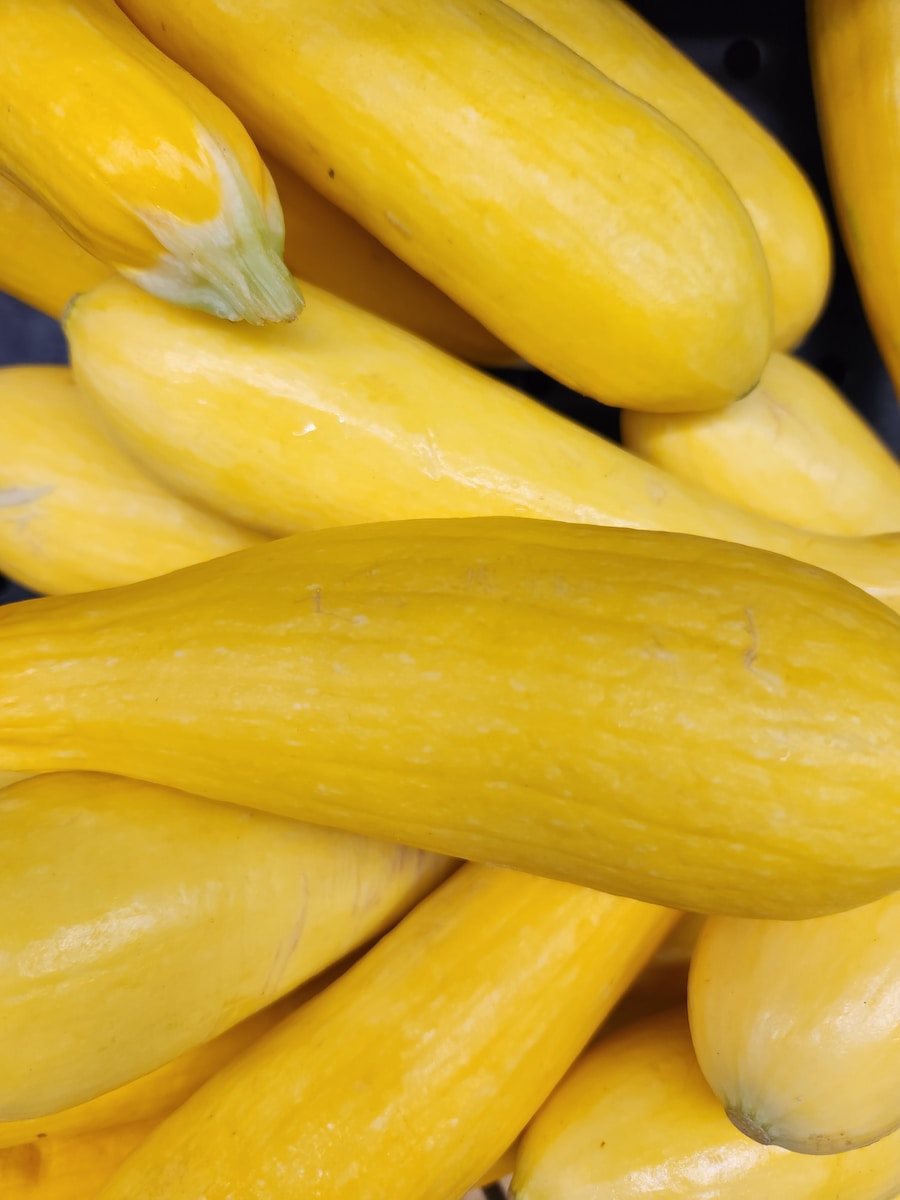 Yellow Squash