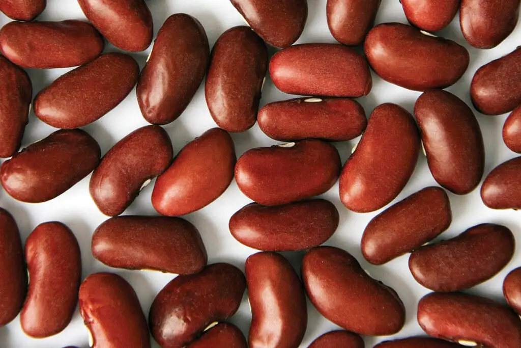 Kidney Beans