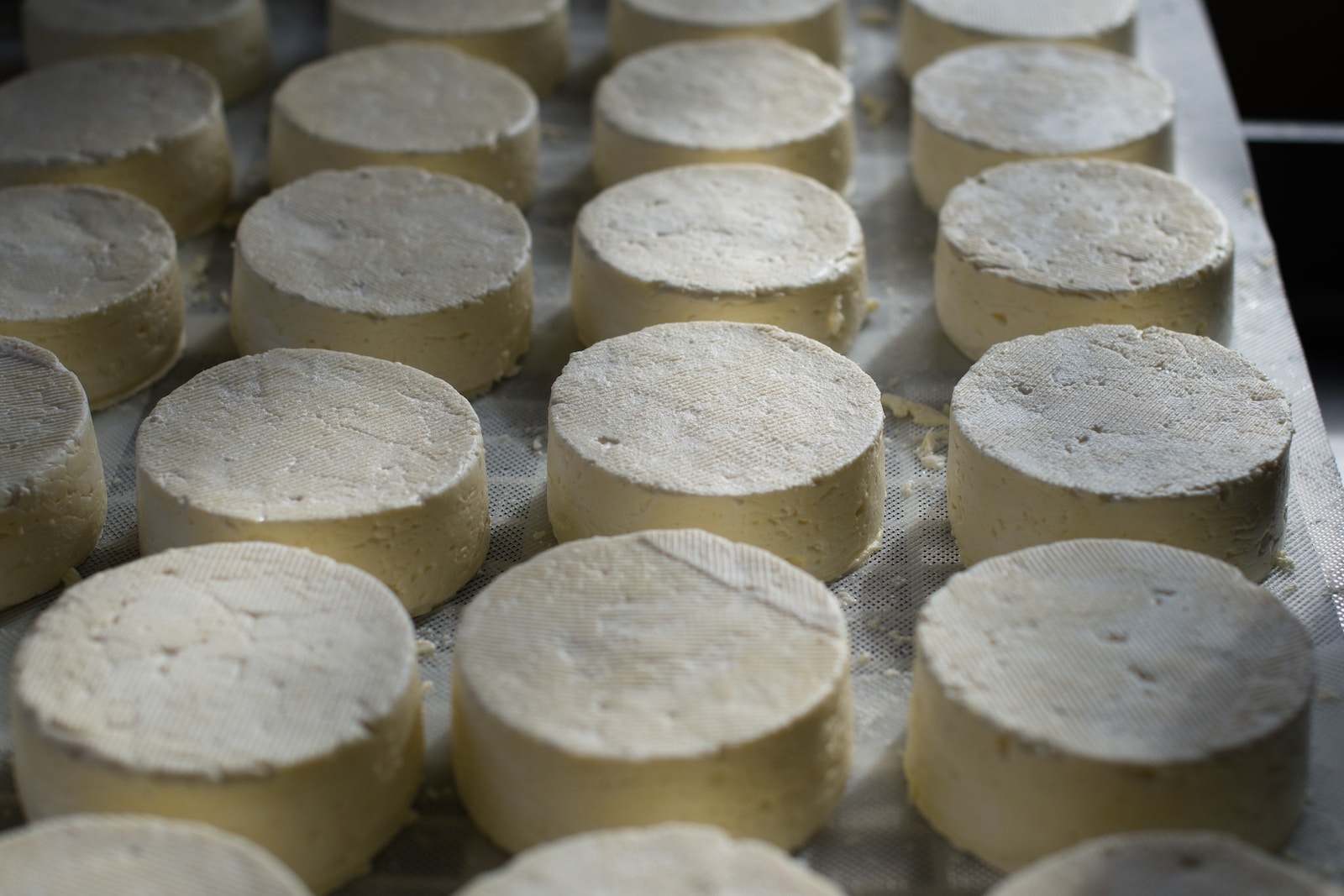 Brie Cheese