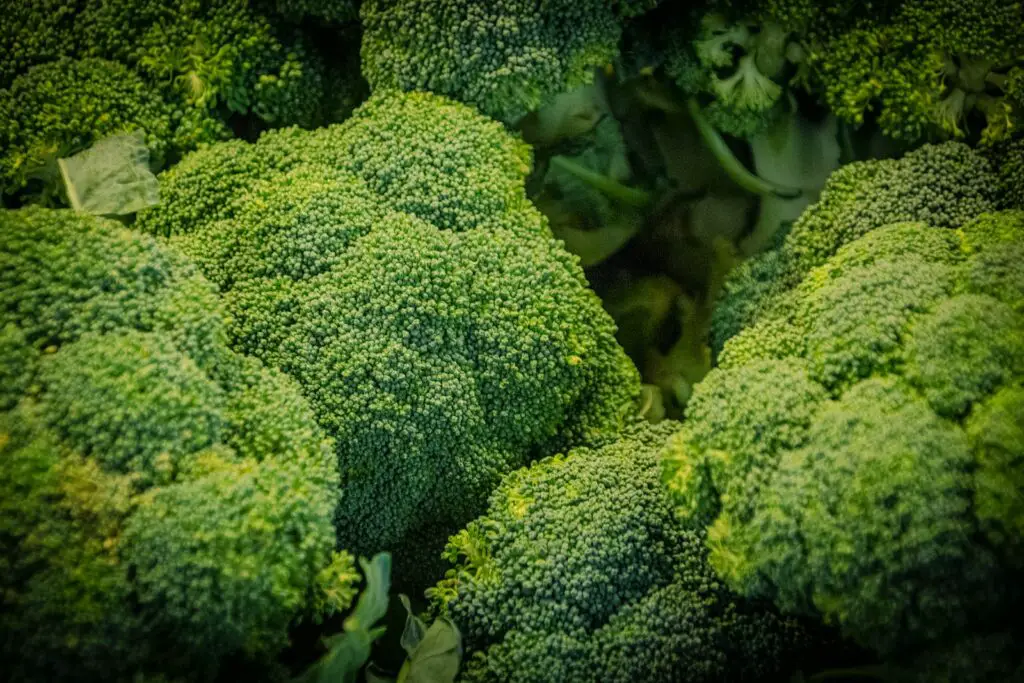 Broccoli