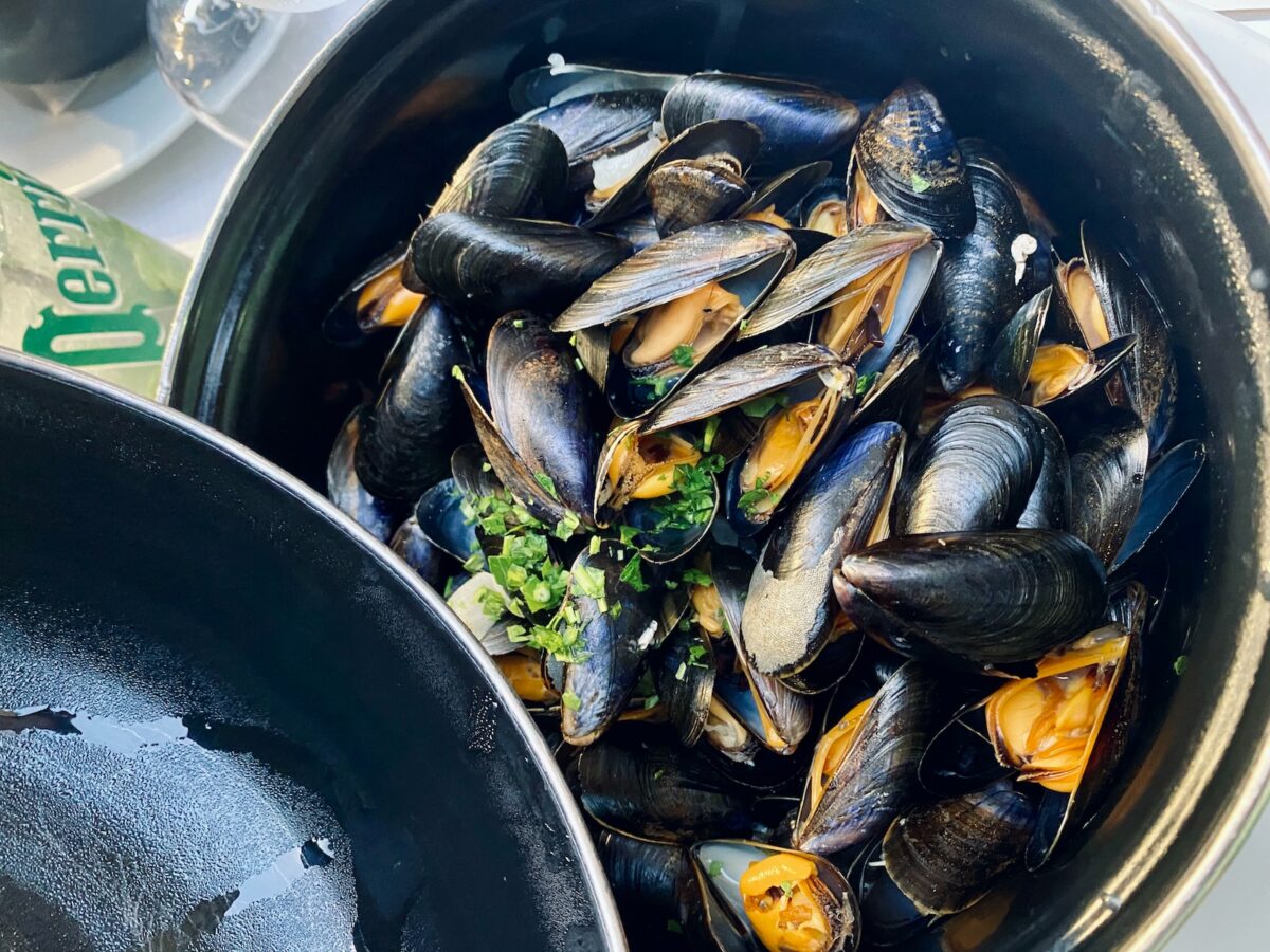 How to Tell if a Mussel is Bad Expert Tips for Spotting Spoiled Seafood