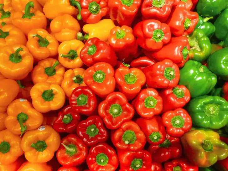 Bell Pepper