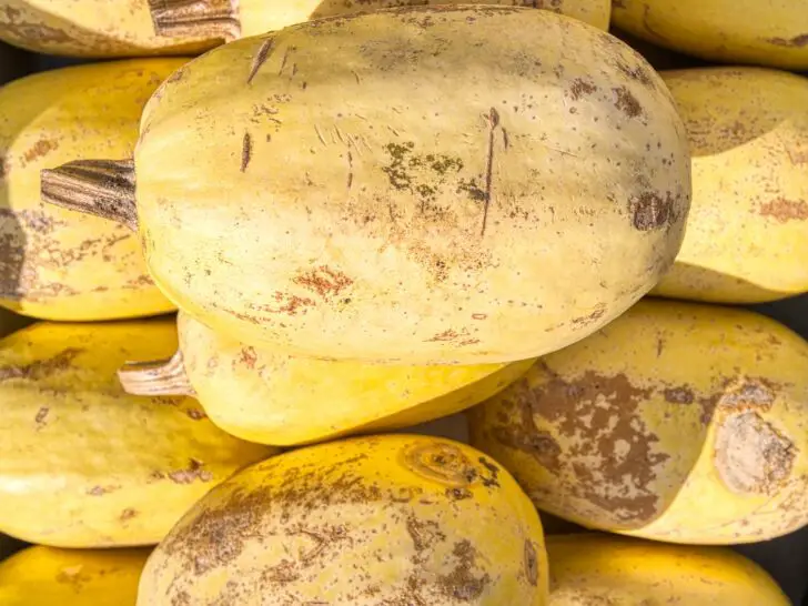 Yellow Squash