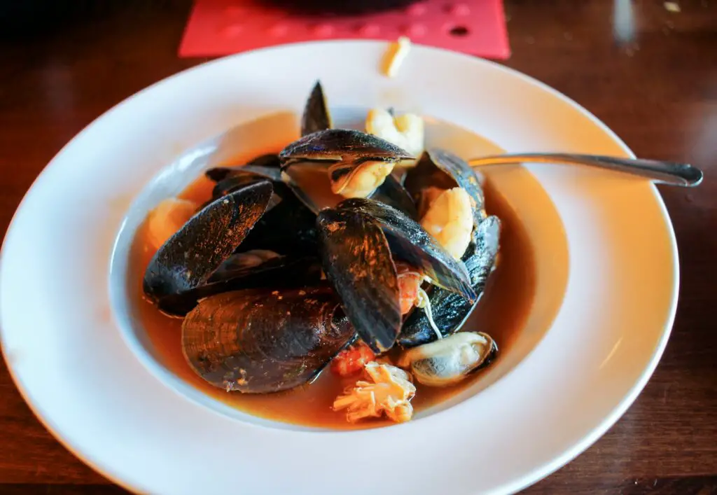 Mussel