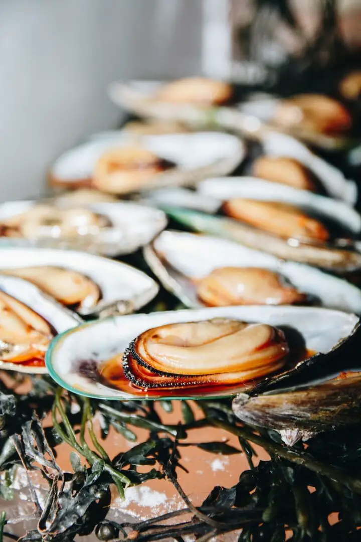 How to Tell if a Mussel is Bad Expert Tips for Spotting Spoiled Seafood